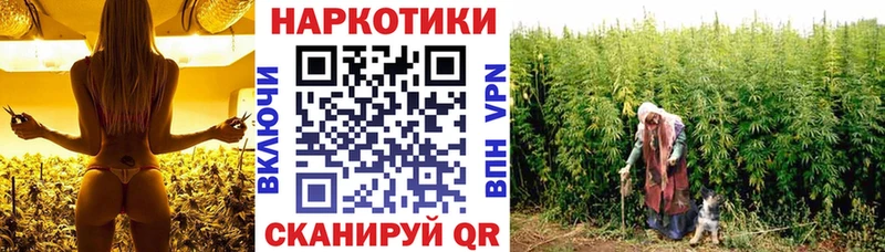 Магазины продажи наркотиков Сельцо ТГК  Меф  ГАШ  Амфетамин  Конопля  Альфа ПВП 
