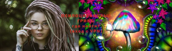 PSILOCYBIN Нязепетровск